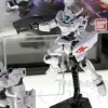 1/144 HG Genoace Custom