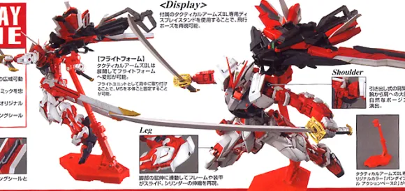 1/100 MG Gundam Astray Red Frame Lowe Guele's Customize Mobile Suit MBF-PO2KAI