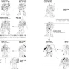 Mobile Suit Gundam Zeon Army Legacy
