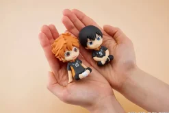 Nendoroid Plus: Shoyo Hinata Rubber Mascot (Haikyu!!)