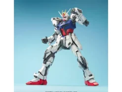 1/60 Perfect Grade Strike Gundam