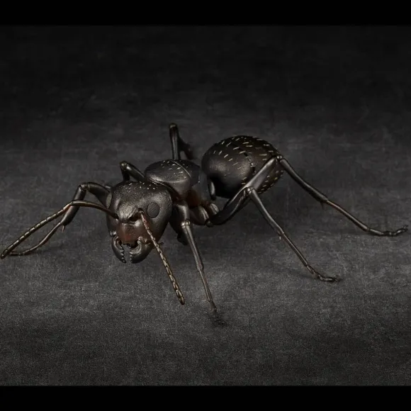 REVO GEO Camponotus japonicus (Black Carpenter Ant) (set of 2)