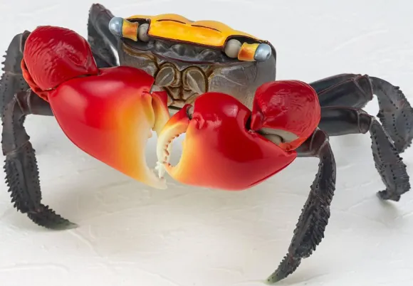 Revo Geo Chiromantes Haematocheir (Red-Clawed Crab)