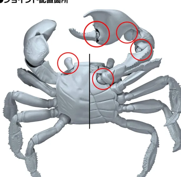 Revo Geo Chiromantes Haematocheir (Red-Clawed Crab)