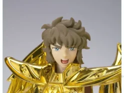 Saint Seiya Myth Cloth Appendix Sagittarius Aioros