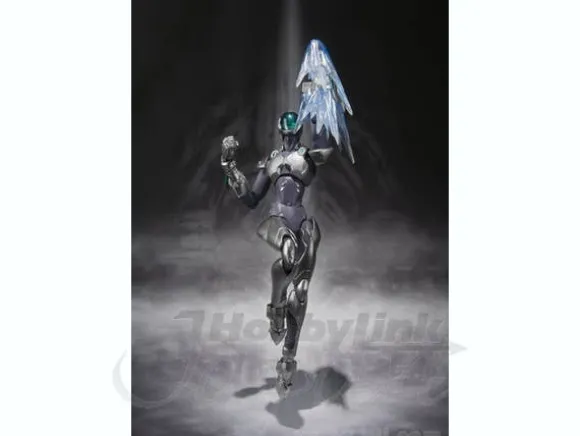 S.H.Figuarts Silver Crow