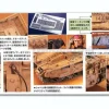 1/35 U.C. Hard Graph EFGF M61A5 Main Battle Tank "Semovente" Phantom Element